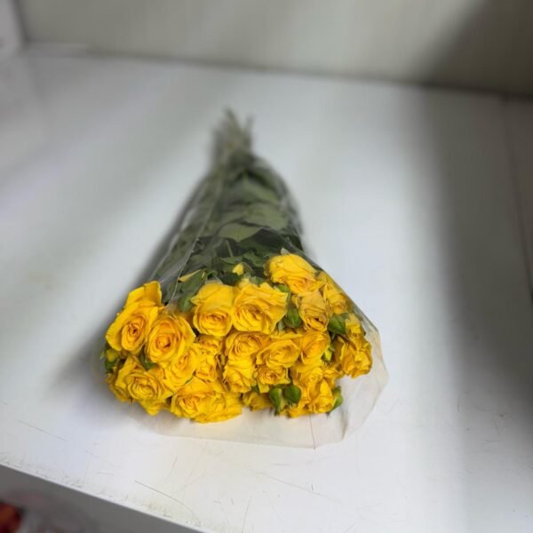 بيبي روز أصفر
