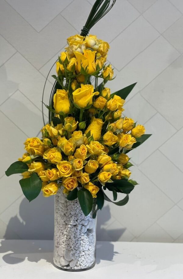 فازة 85