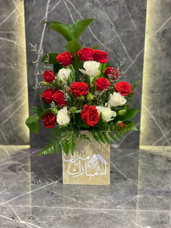 فازة 66